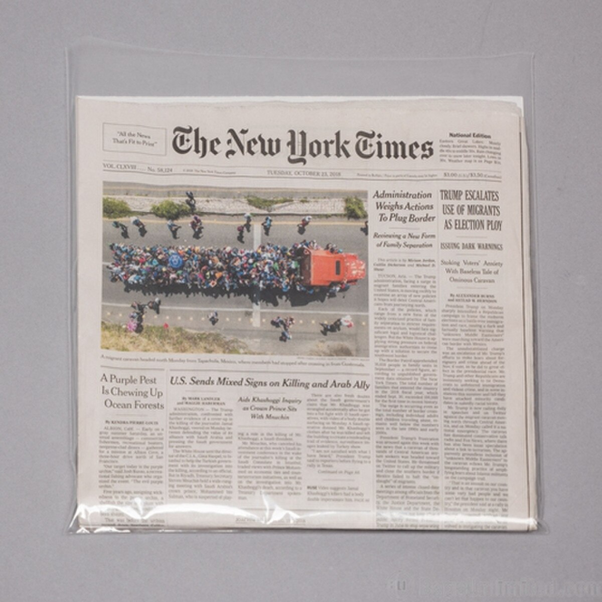 New York Times Newspaper Sleeve.